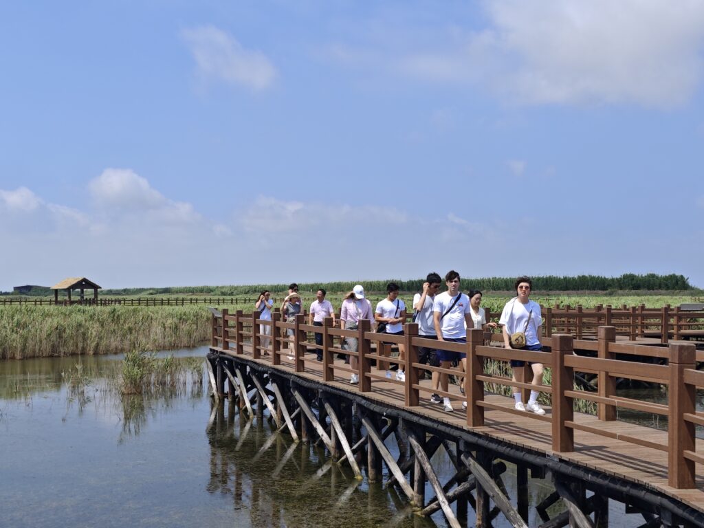 Shanghai Chongmingdongtan National Nature Reserve 20240615 (7)